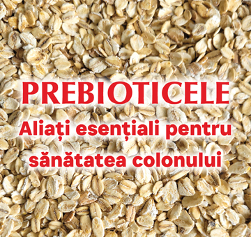 Prebioticele1
